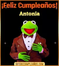 GIF Meme feliz cumpleaños Antonia